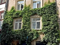 Schwertfegerhaeuschen 3*