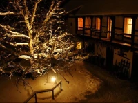 Hotel garni & Omas Heuhotel Pension zur Galerie 