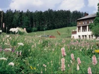 Pension Schmiedel 