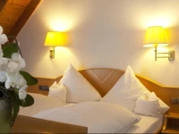 Hotel-Restaurant Hirsch 