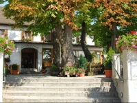 Hotel Gasthof GroГџ 