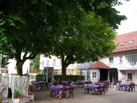 Hotel Gasthof Gaum 