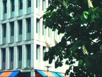 Hotel Kubrat in Helle Mitte 