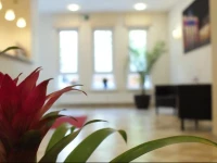 Hotel Berlin Mitte 