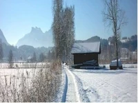 Gasthof Alter Wirt 