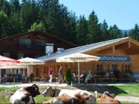 Alpengasthof GГ¶tschenalm 