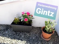 Ferienwohnung Haus Gintz 
