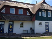 Auster am Bodden 