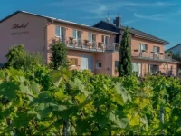 Weingut-Pension Tiliahof 