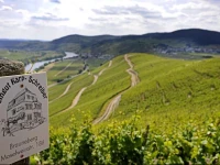 Weingut Karp-Schreiber 