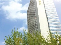 King Lion International Hotel 