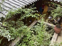 Dragontown International Youth Hostel 