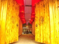 Lazy Inn Hostel 