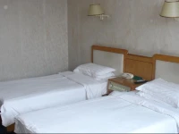 Social Insurance Hotel 