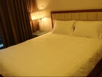 Chenggdu Pineapple Aparthotel 
