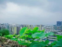 Housheng Youth Hostel 