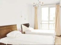 Tea Time Apartment Chengde Tieguanyin 