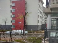 Xiaocheng Guesthouse Century City 