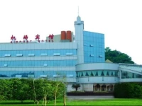 Chongqing Jiangbei International Airport Hotel 