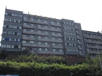 Home Inn Chongqing Xietaizi Metro Station 