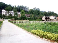 Taohuaxi Inn 