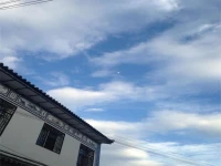 Lily Garden Hostel 