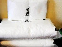 F.L.Y Pottery&Astronomy Hostel 