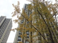 Dalian Xinghai Square Holiday Apartment 