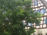 Landhaus Folk 