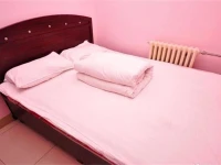 Dezhou Luguo Inn 