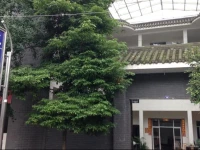 Qingchengshan Jingqingyuan Farmstay 