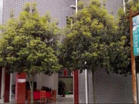 Yaxinju Hotel 