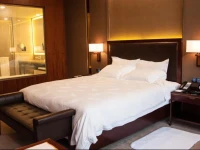 Parklane Changan International Hotel 