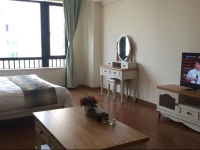 Vidic Service Apartment 