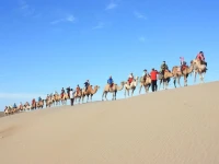 Dunhuang Moli International Hostel 