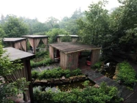 Mount Emei Jadeite Resort 