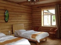 Zoya Homestay 