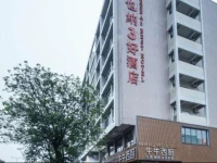 Vienna 3 Best Hotel Foshan Zhangcha Branch 