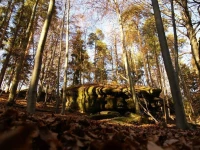 Landpension Bielatal - Raum 