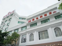 Vienna Hotel Guangzhou Songnan 