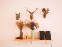 Magic Forest Boutique Coffee Home Stay 
