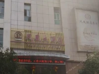 Phoenix Hotel Chain 