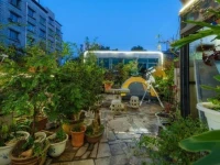 Dream Garden 