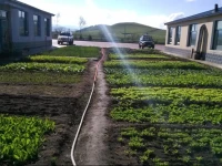 Fengqing Grassland Village 
