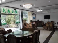 Shunan Zhuhai Linhai Yaju Hotel 