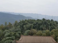 Zhuhai Fengqing Farmstay 