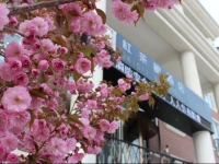 Bridal Tea House Hotel (YanTai HaiYun) 