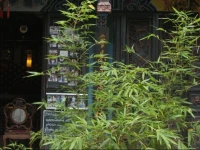 Linan Inn 
