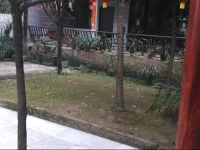 Yiyuan Guesthouse Chongzhou 1st Branch 