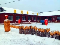 Wusong Island Wusong Country House 